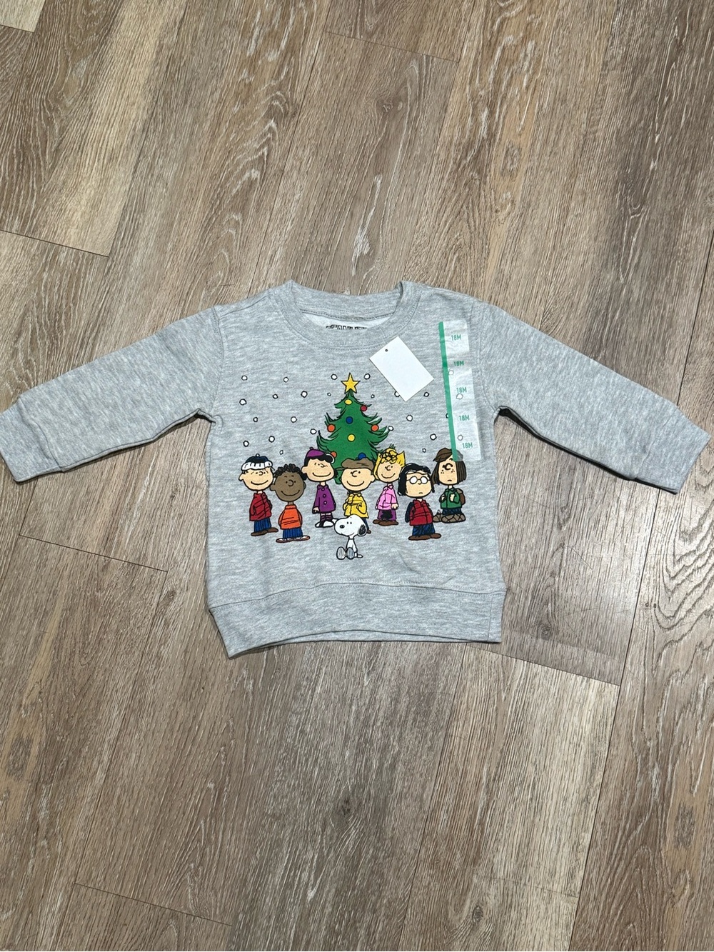 Peanuts Grey Kids Holiday Sweatshirt with Character Tree Print BNWT